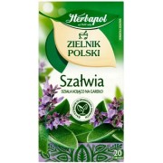 Herbata Herbapol Zielnik Polski Szałwia ekspresowa 20 torebek